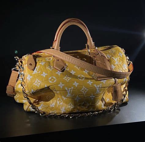 men's speedy louis vuitton|louis vuitton speedy price.